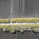 CHINA-HEILONGJIANG-AGRICULTURA