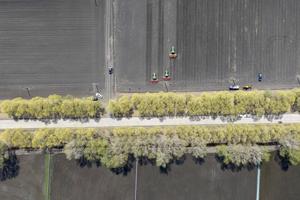 CHINA-HEILONGJIANG-AGRICULTURA