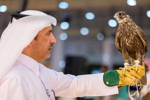 QATAR-DOHA-EXHIBICION DE CETRERIA