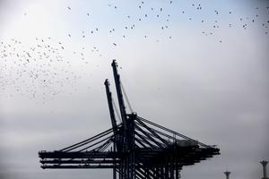 PERU-CHANCAY-CHINA-PUERTO DE CHANCAY