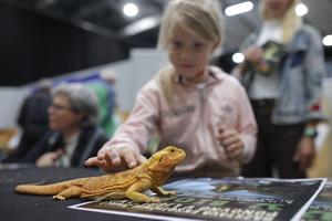ESLOVENIA-LIUBLIANA-EXPOSICION DE ANIMALES EXOTICOS