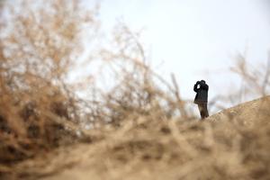 CHINA-GANSU-DUNHUANG-CABALLO DE PRZEWALSKI-PROTECCION
