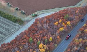 CHINA-HEILONGJIANG-OTOÑO-COSECHA