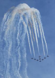 CANADA-WHITE ROCK-SNOWBIRDS DE LAS FUERZAS ARMADAS CANADIENSES-ESPECTACULO AEREO