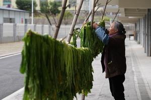 CHINA-HUNAN-ZIXING-REASENTAMIENTO-NUEVA VIDA