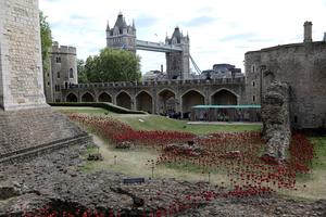 REINO UNIDO-LONDRES-AMAPOLAS DE CERAMICA-SEGUNDA GUERRA MUNDIAL-80 ANIVERSARIO