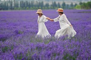 CHINA-XINJIANG-HUOCHENG-LAVANDA-INDUSTRIA
