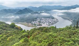 CHINA-ANHUI-SHEXIAN-NISPEROS-COSECHA