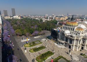 MEXICO-CIUDAD DE MEXICO-JACARANDAS