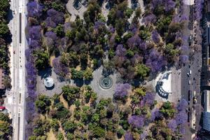 MEXICO-CIUDAD DE MEXICO-JACARANDAS