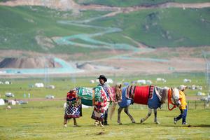 CHINA-XIZANG-COMPETENCIA DE CARRERAS DE CABALLOS