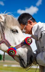 CHINA-XIZANG-COMPETENCIA DE CARRERAS DE CABALLOS