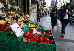 MEDIO ORIENTE-AUMENTO DEL PRECIO DE LOS ALIMENTOS