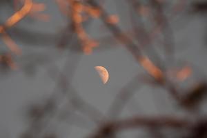 CHINA-ASTRONOMIA-LUNA EN CUARTO CRECIENTE