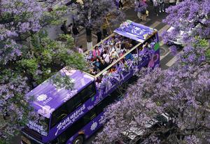 CHINA-YUNNAN-KUNMING-FLORES DE JACARANDA