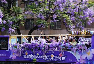 CHINA-YUNNAN-KUNMING-FLORES DE JACARANDA