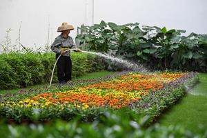 CHINA-HAINAN-BOAO-FBA-DESARROLLO VERDE