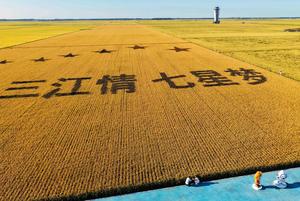 CHINA-HEILONGJIANG-CAMPOS-CULTIVOS