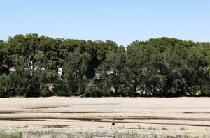 FRANCIA-ORLEANS-LOIRA-NIVEL DEL AGUA