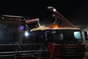 CHINA-ANHUI-COSECHA DE TRIGO-ILUMINACION CON DRONES