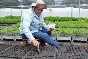 NICARAGUA-LEON-REFORESTACION-CAMPAÑA