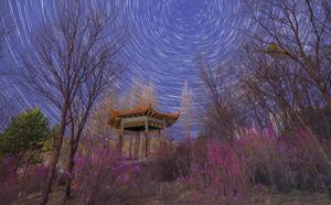 CHINA-HEILONGJIANG-CIELO ESTRELLADO-FLORES