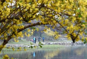 CHINA-BEIJING-PARQUE YUANMINGYUAN-PRIMAVERA-TURISMO