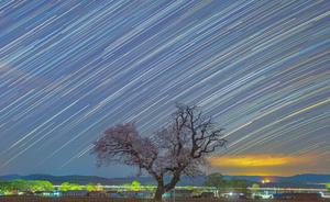 CHINA-HEILONGJIANG-CIELO ESTRELLADO-FLORES