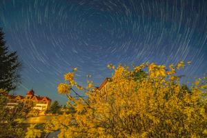 CHINA-HEILONGJIANG-CIELO ESTRELLADO-FLORES