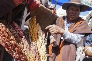 BOLIVIA-LA PAZ-DIA DEL CONSUMO NACIONAL DE LA QUINUA-FERIA