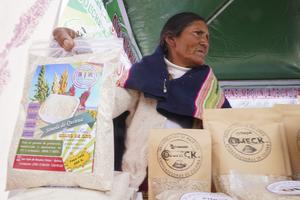 BOLIVIA-LA PAZ-DIA DEL CONSUMO NACIONAL DE LA QUINUA-FERIA