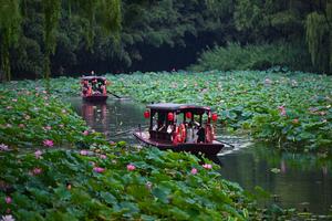 CHINA-BEIJING-FLORES DE LOTO
