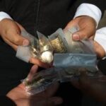 MEXICO-CIUDAD DE MEXICO-COPA MUNDIAL DE LA FIFA 2026-MONEDAS CONMEMORATIVAS