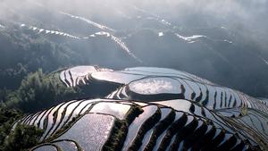 CHINA-GUANGXI-LONGSHENG-CAMPOS EN TERRAZAS-NUBES