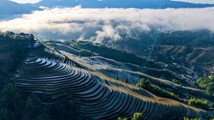 CHINA-GUANGXI-LONGSHENG-CAMPOS EN TERRAZAS-NUBES