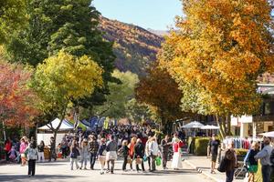 NUEVA ZELANDA-ARROWTOWN-FESTIVAL DE OTOÑO