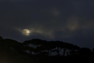 LIBANO-BEIRUT-LUNA