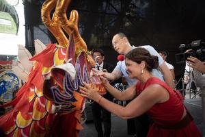 ARGENTINA-BUENOS AIRES-AÑO NUEVO CHINO