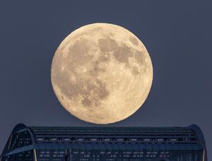 CANADA-TORONTO-LUNA