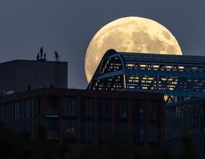 CANADA-TORONTO-LUNA