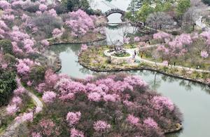 CHINA-PRIMAVERA-PAISAJE