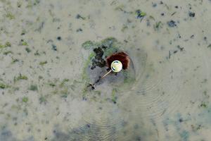 CHINA-GUYU-AGRICULTURA
