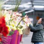 PAISES BAJOS-LISSE-KEUKENHOF-FLORES