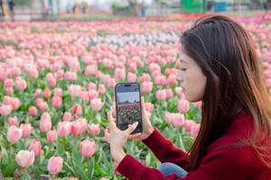 CHINA-JIANGSU-DESARROLLO ECOLOGICO