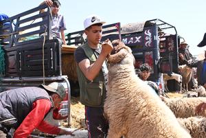 MARRUECOS-RABAT-EID AL-ADHA-MERCADO
