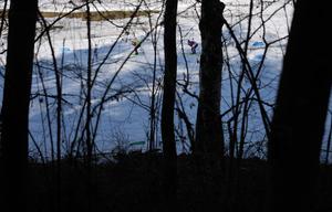 ITALIA-TESERO-JUEGOS PARALIMPICOS DE INVIERNO-PARA BIATLON-INDIVIDUAL MASCULINO CON DISCAPACIDAD VISUAL