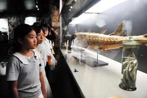 CHINA-HUBEI-MUSEOS-VERANO-RECORRIDOS DE ESTUDIO