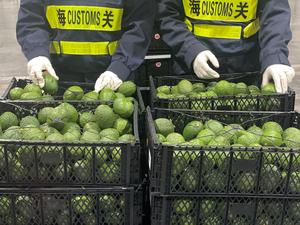 CHINA-SHANGHAI-POLITICA AMPLIADA DE ARANCEL CERO-BENEFICIARIOS