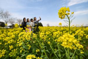 CHINA-PRIMAVERA-FLORES