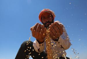 SIRIA-FAO-INUNDACIONES-AGRICULTURA